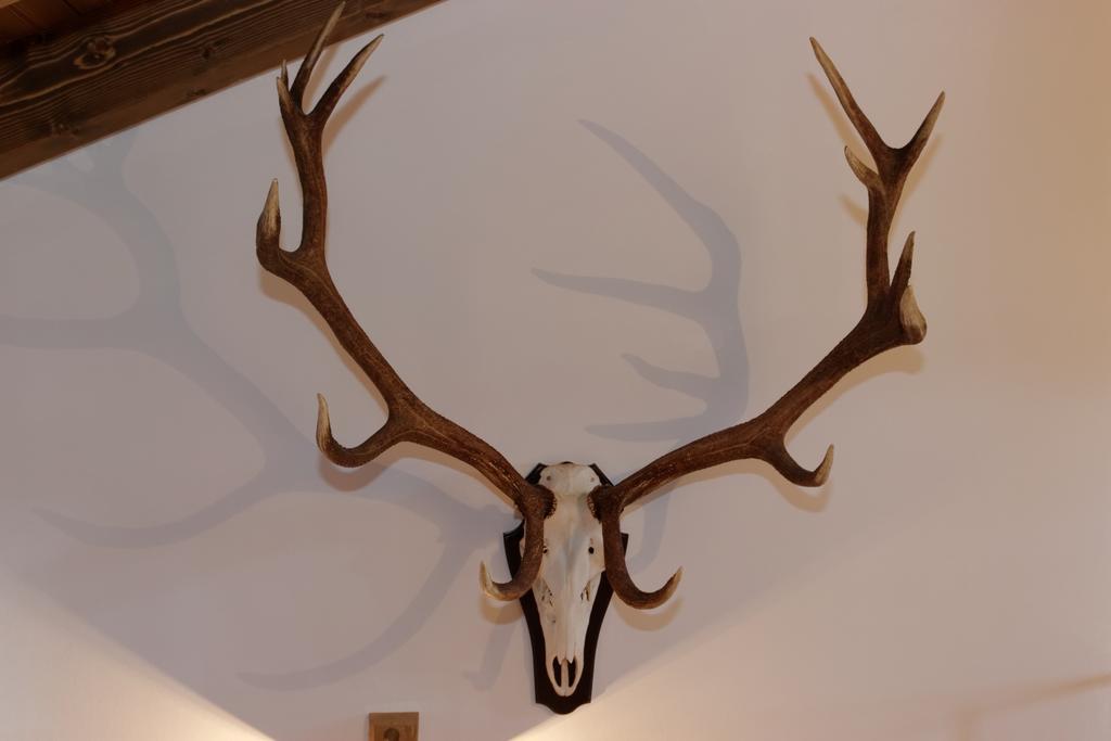 Ferienhaus Hirschkopf Mauth Zimmer foto